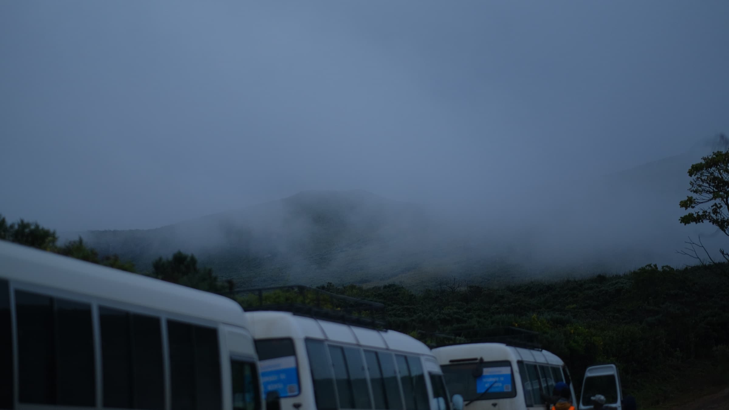 Tour buses waiting in the mist at the Aberdare trailhead