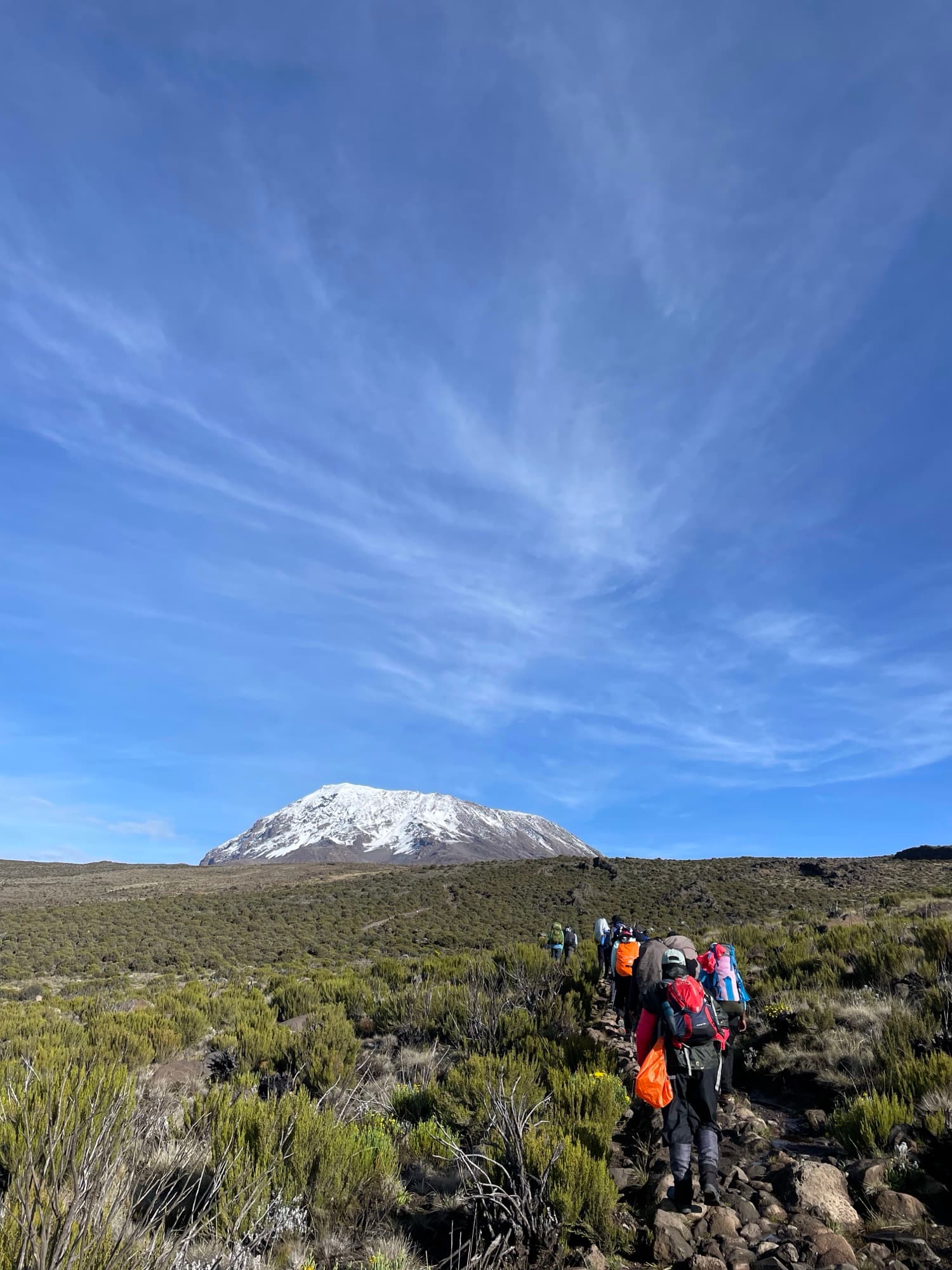 Trekkers crossing the high-altitude Saddle toward a snowcapped Kibo
