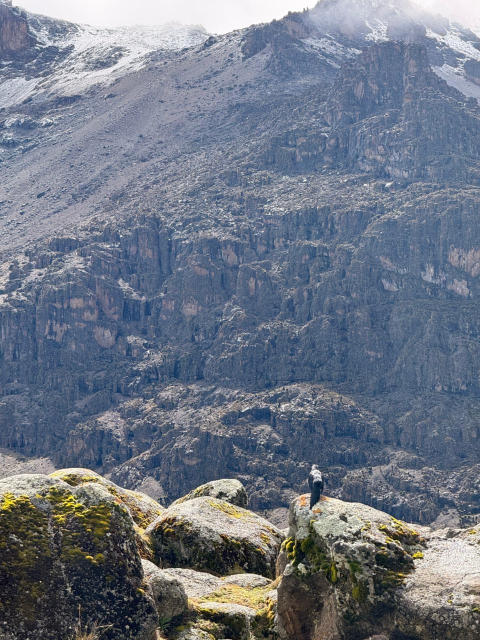 Lone climber dwarfed by the snow-streaked crags of Mount Kenya