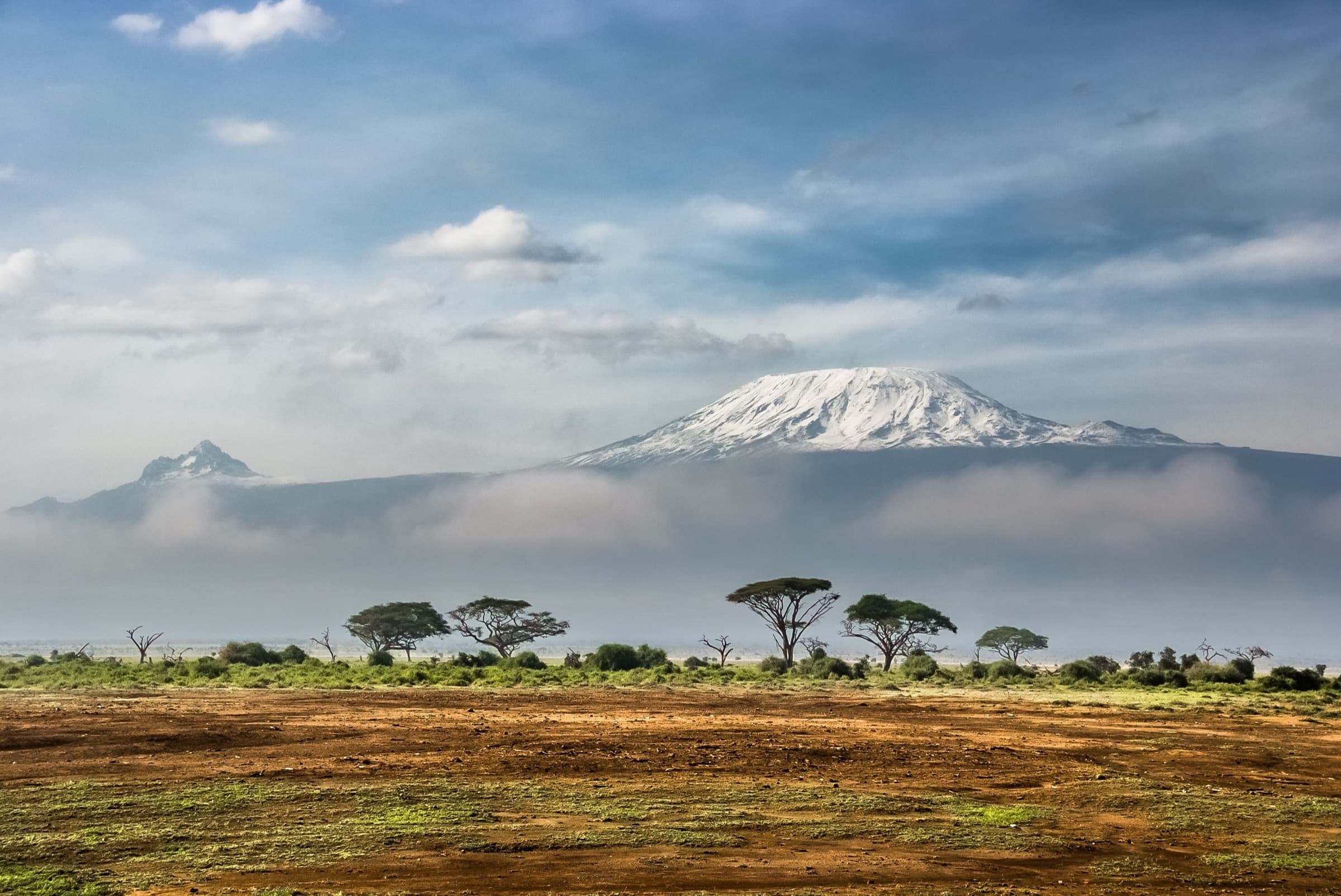 Kilimanjaro rising above flat-topped acacia trees